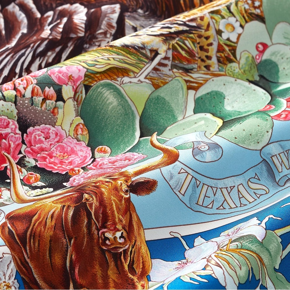 EXTREMELY RARE HERMES Faune et Flore du Texas forever scarf 90 COLLECTOR PIECE - Picture 3 of 10